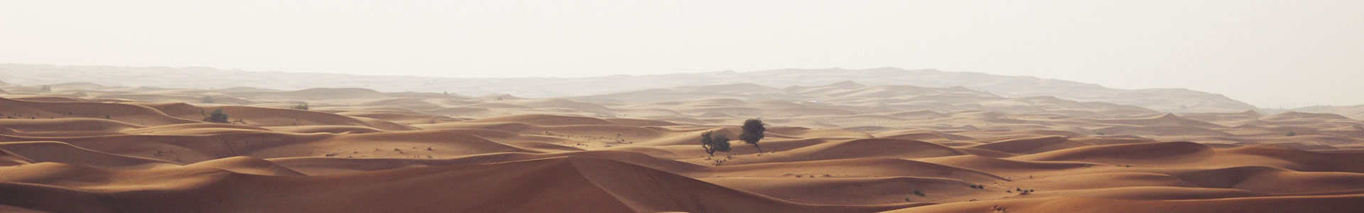 ݵӱ޹˾